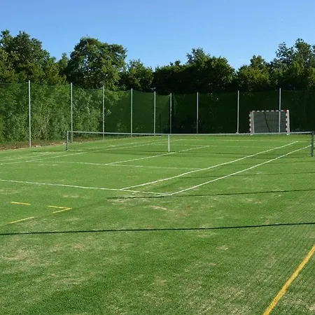 Nikola Vila Veligolji